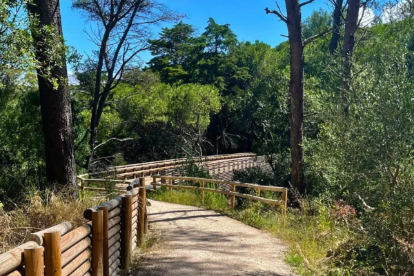 ADIADO - 91.º aniversário do Parque Florestal de Monsanto